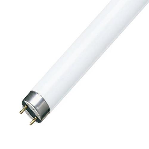 TUBO FLUORESCENTE 20W LUZ FRIA 6500K